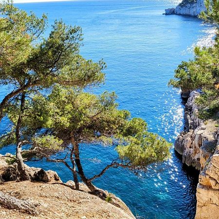 Le Paradis Bleu Calanque De Figuieres, Paddle Et Veranda Ensues-la-Redonne Exterior photo