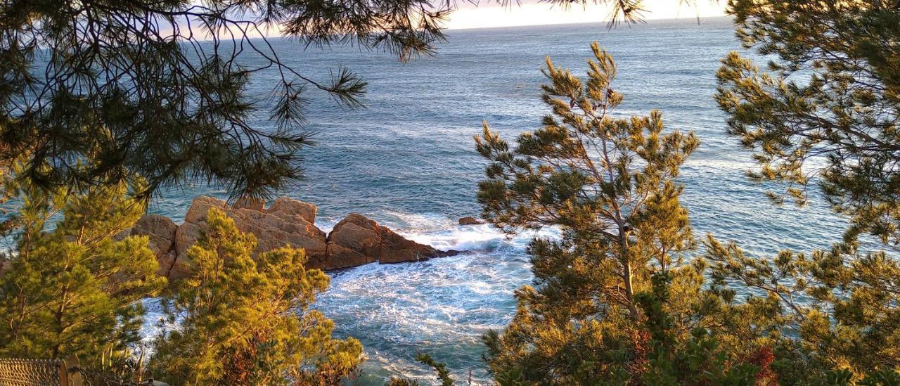 Le Paradis Bleu Calanque De Figuieres, Paddle Et Veranda Ensues-la-Redonne Exterior photo